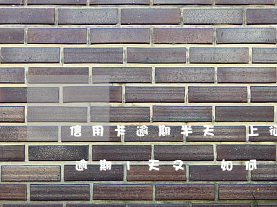 信用卡逾期半天會上征信嗎？影響大嗎？逾期1天又該如何處理？